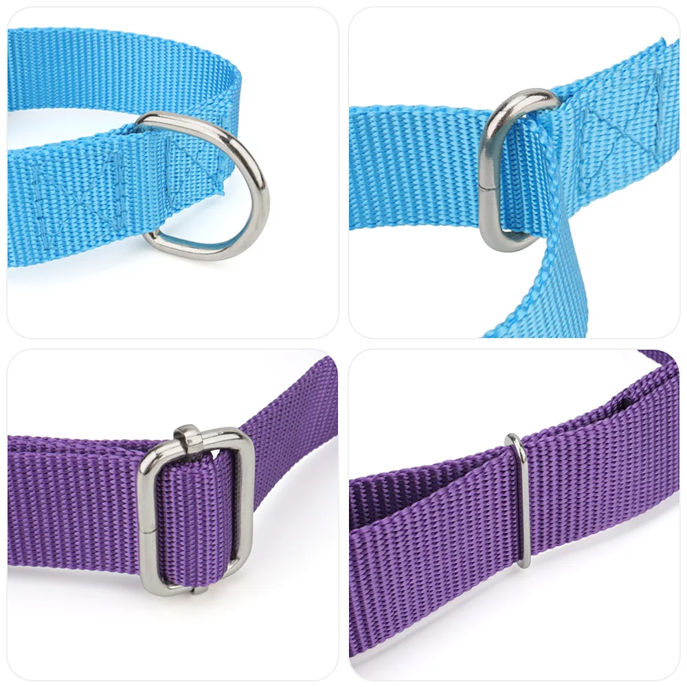 Coleira Martingale para Cães de Nylon Ajustável com Fivela de Metal - Imagem 2