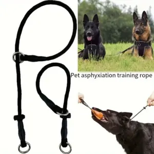 trela de treinamento para cães