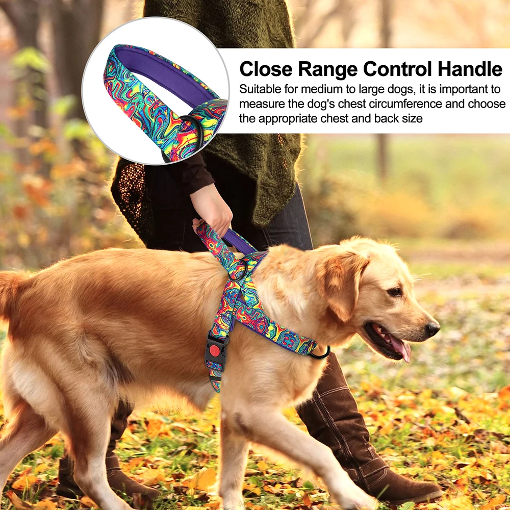 Arnês para Cães de Nylon com Estampa Colorida e Controle Rápido - Imagem 5