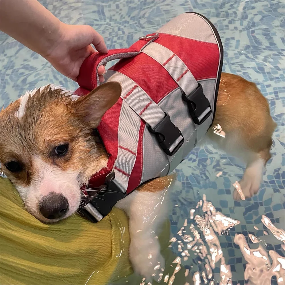 Colete Salva-Vidas para Cães Pequenos e Médios com Material Refletivo - Imagem 4