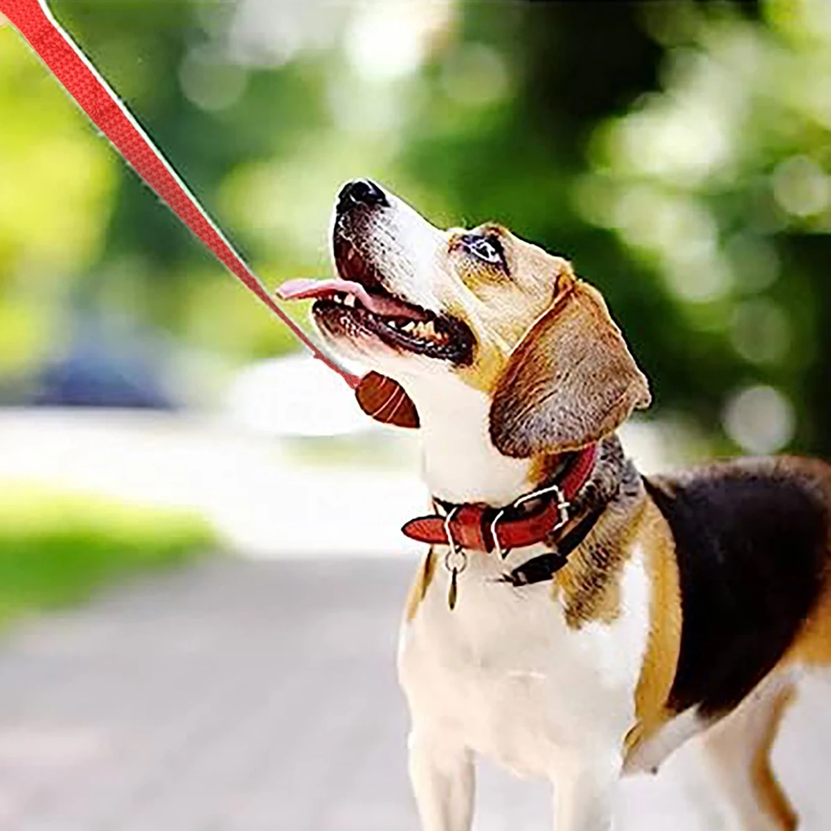 Trela de Treinamento para Cães de Nylon com 1.5 a 6 m para Passeio - Imagem 6