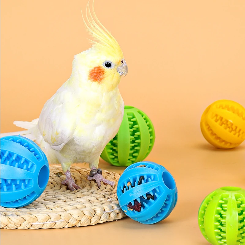 Brinquedo Alimentador para Pássaros Conures e Periquitos - Imagem 2