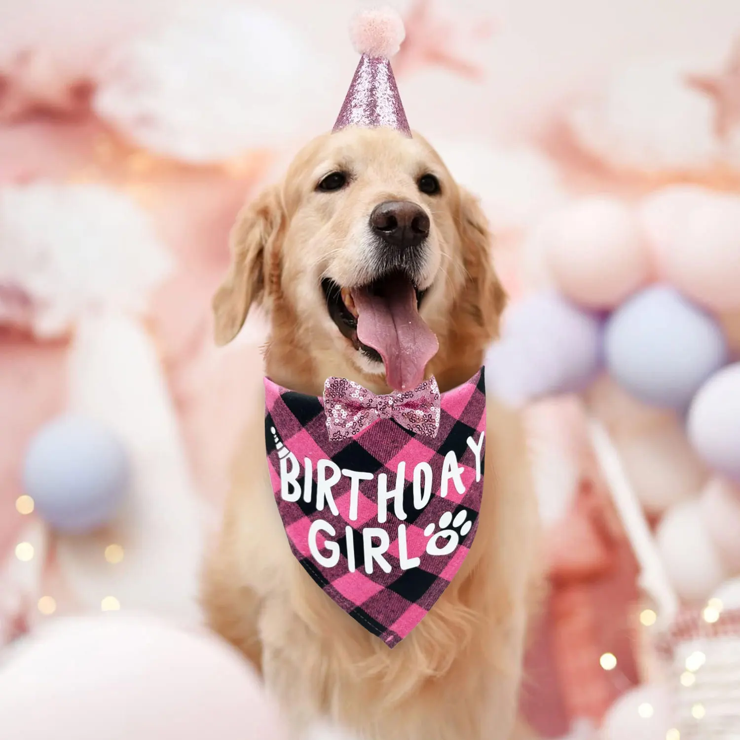 Kit Aniversário para Cães Médios e Grandes com Bandana e Chapéu Ajustável - Imagem 6
