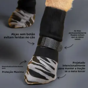 meias antiderrapantes para cães
