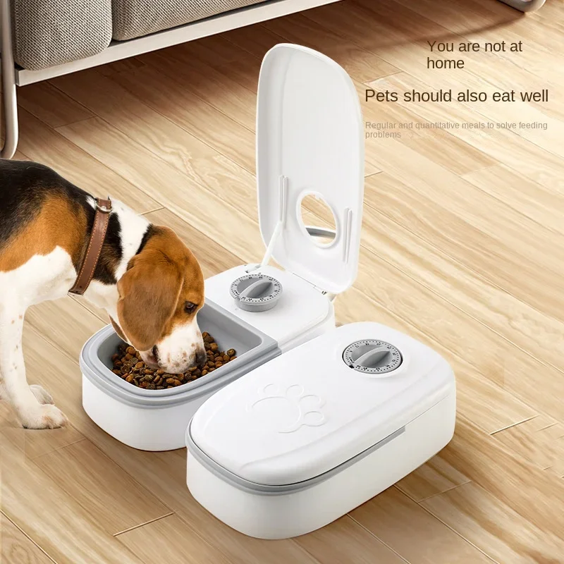 alimentador automático para cães e gatos