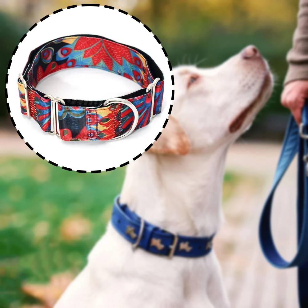 coleira martingale para cães ajustável