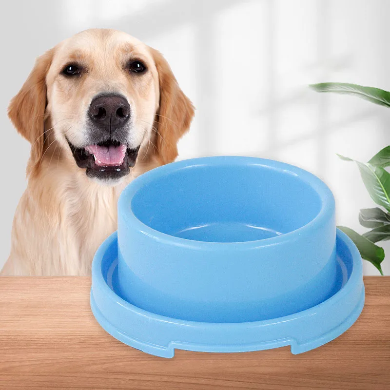 Comedouro Fixo para Cães e Gatos Redondo Antiderrapante - Imagem 2