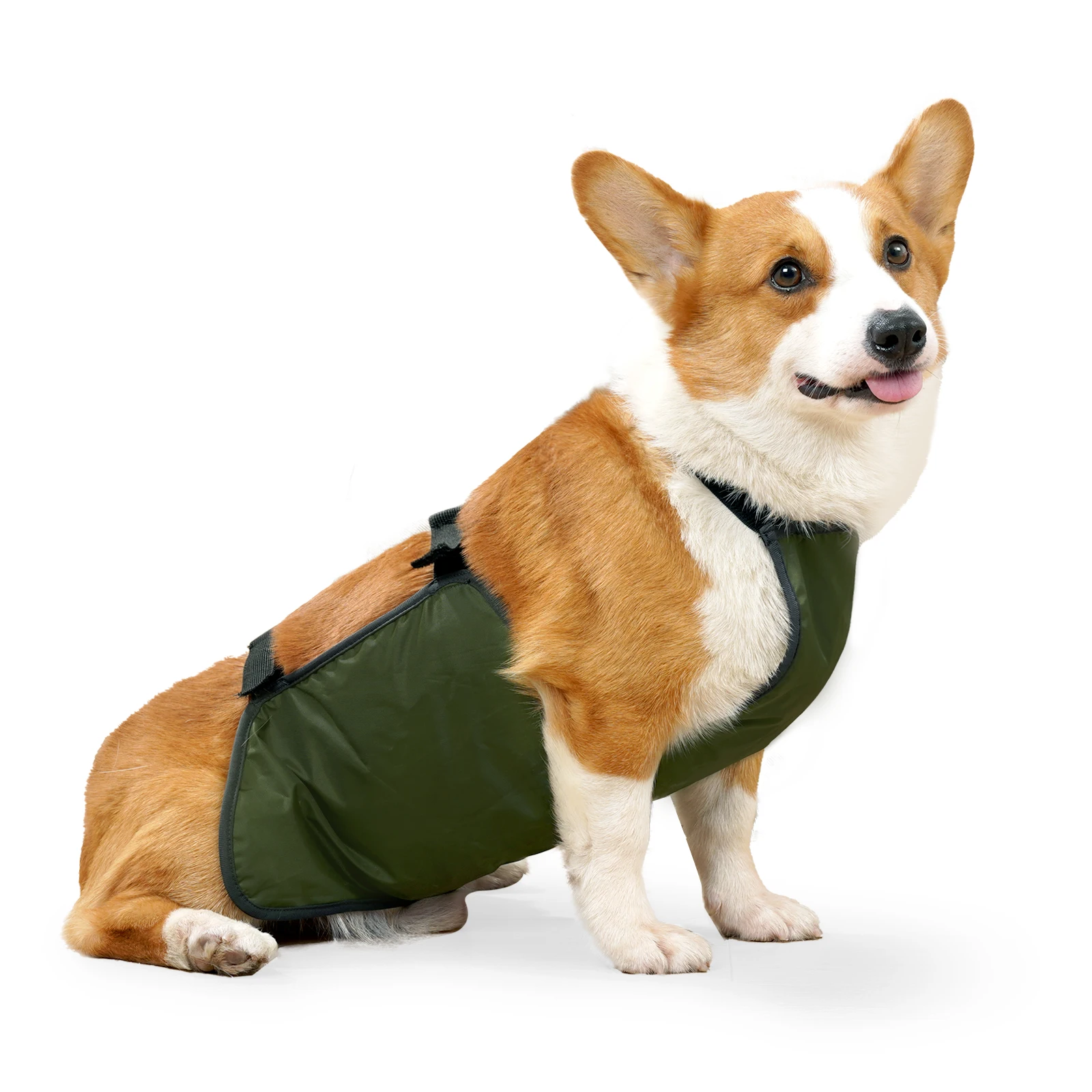 Roupa para Cães Filhotes Impermeável com Bolso Lavável - Imagem 2