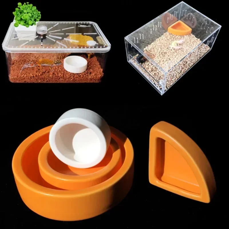 Alimentador Cerâmico para Répteis e Tartarugas 6,8 cm com Borda Antifuga - Image 6