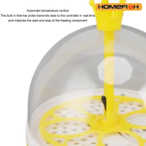 mini incubadora de ovos para aves
