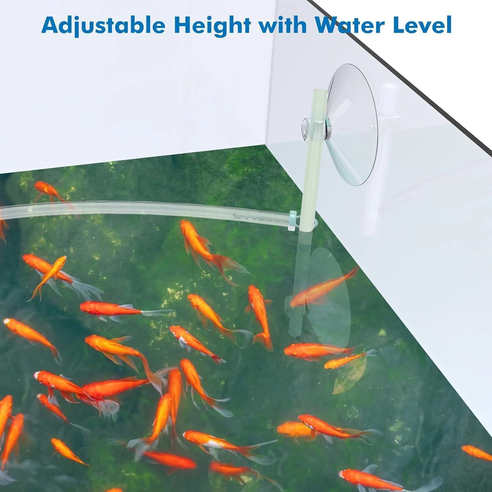 Anéis Flutuantes para Aquário de Plantas e Alimentação de Peixes - Imagem 3