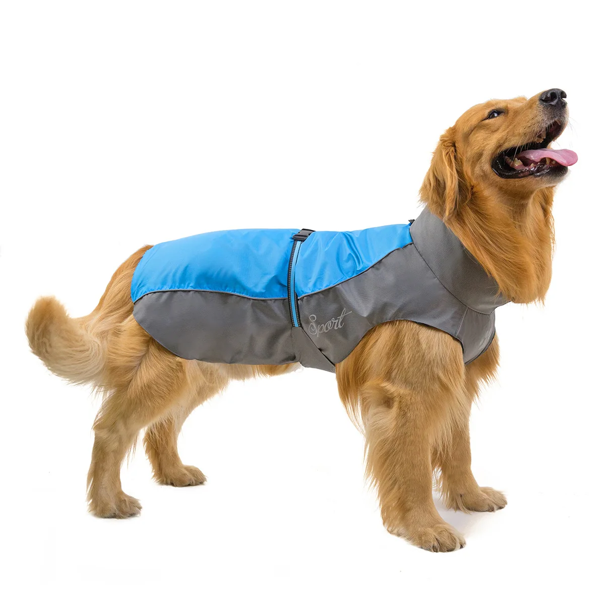 Capa de Chuva para Cães Grandes com Capuz Ajustável - Image 4
