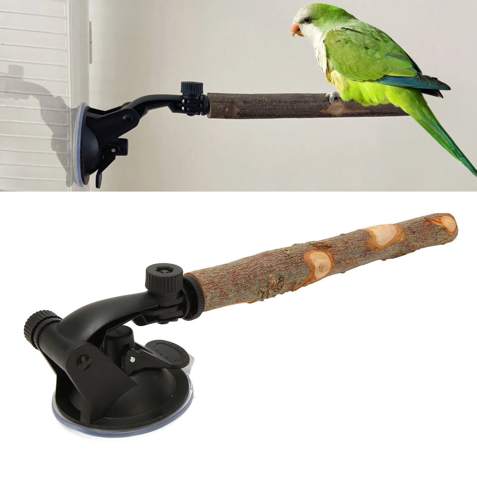 poleiro de madeira para pássaros com ventosa