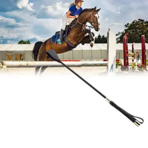 ponteiro para treinamento equestre