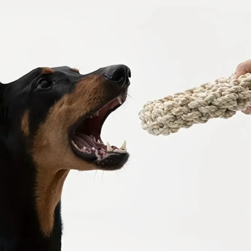 brinquedo de corda para cães de madeira