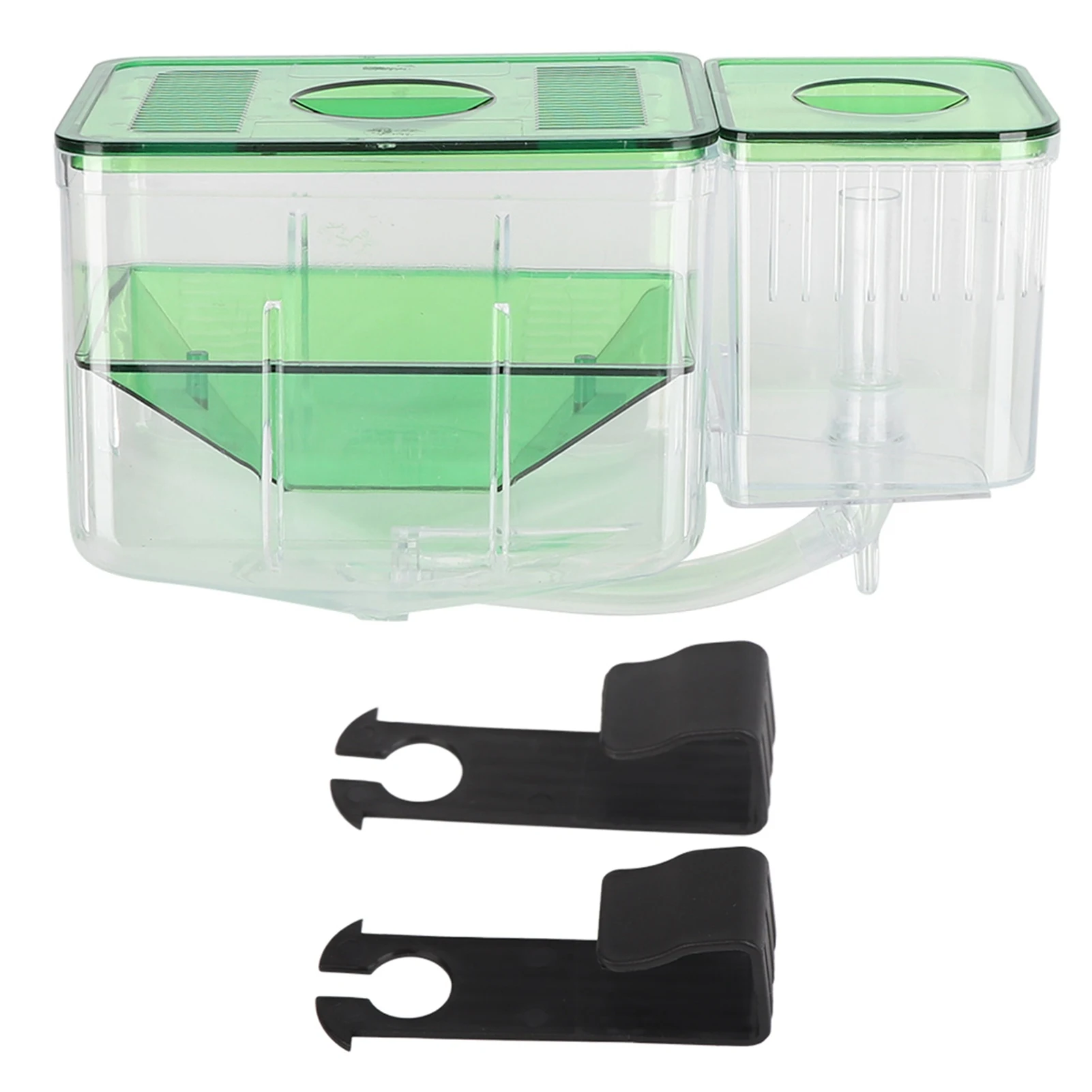 incubadora de aquário para peixes pequenos