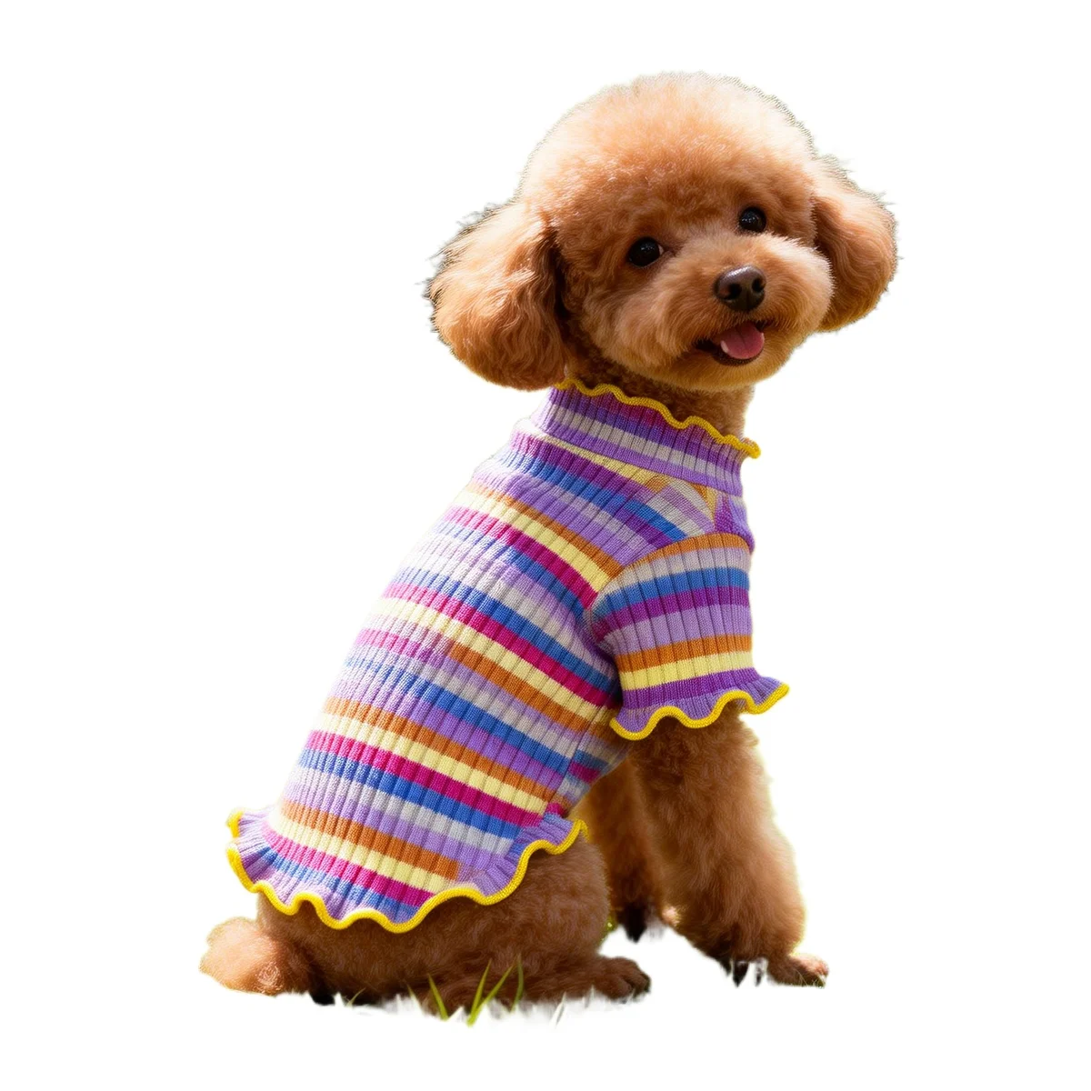 roupa para cães camiseta