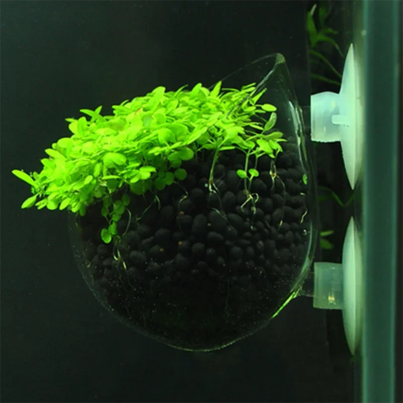 Copo de Vidro para Aquário 7x6,4cm com Ventosa - Imagem 4