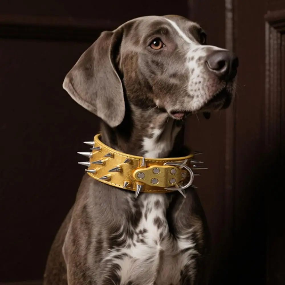 Coleira para Cães de Couro PU com Rebites Afiados para Passeio - Imagem 4