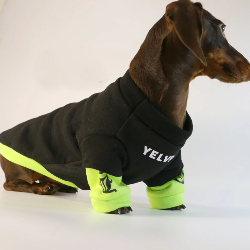Roupa para Cães de Lã para Outono e Inverno - Imagem 5