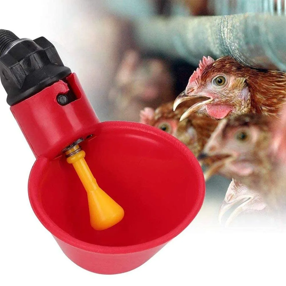 Bebedouro Automático para Aves Galinhas Codorna com Encaixe em Balde - Imagem 3