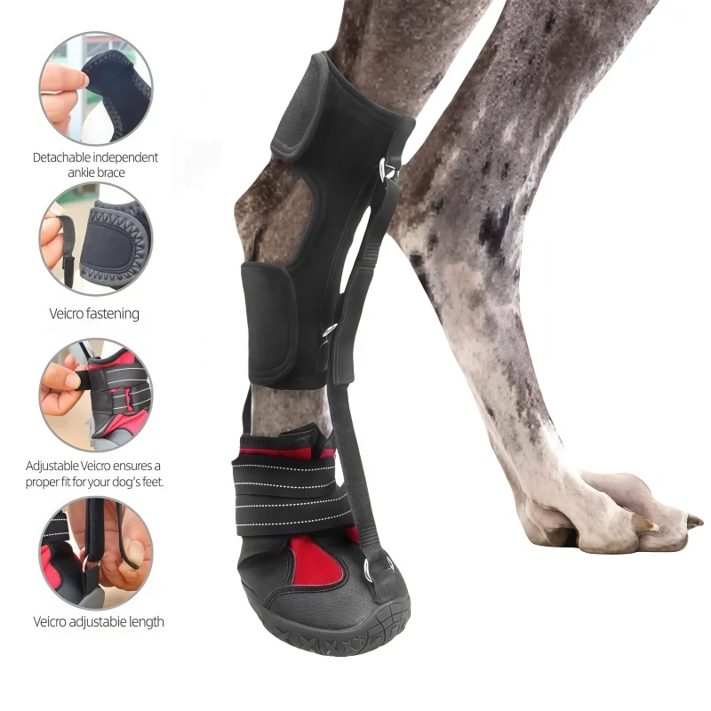 sapatos antiderrapantes para cães