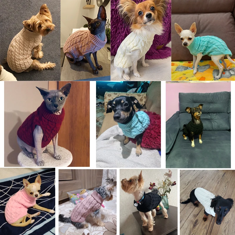 Suéter para Cães Pequenos de Tricô com Gola Alta - Imagem 3