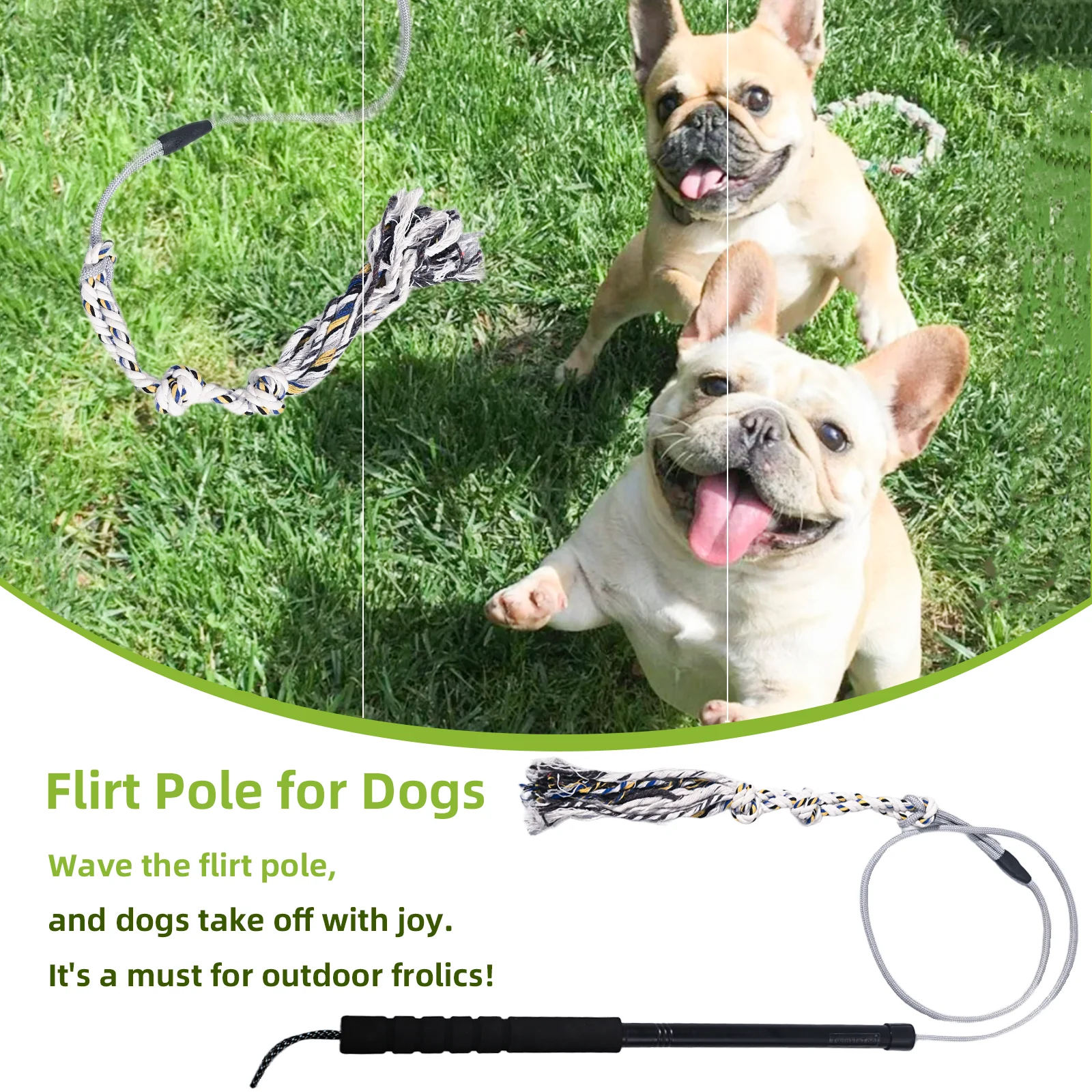 Pólo de Flertar para Cães Pequenos e Médios Brinquedo Interativo - Image 6
