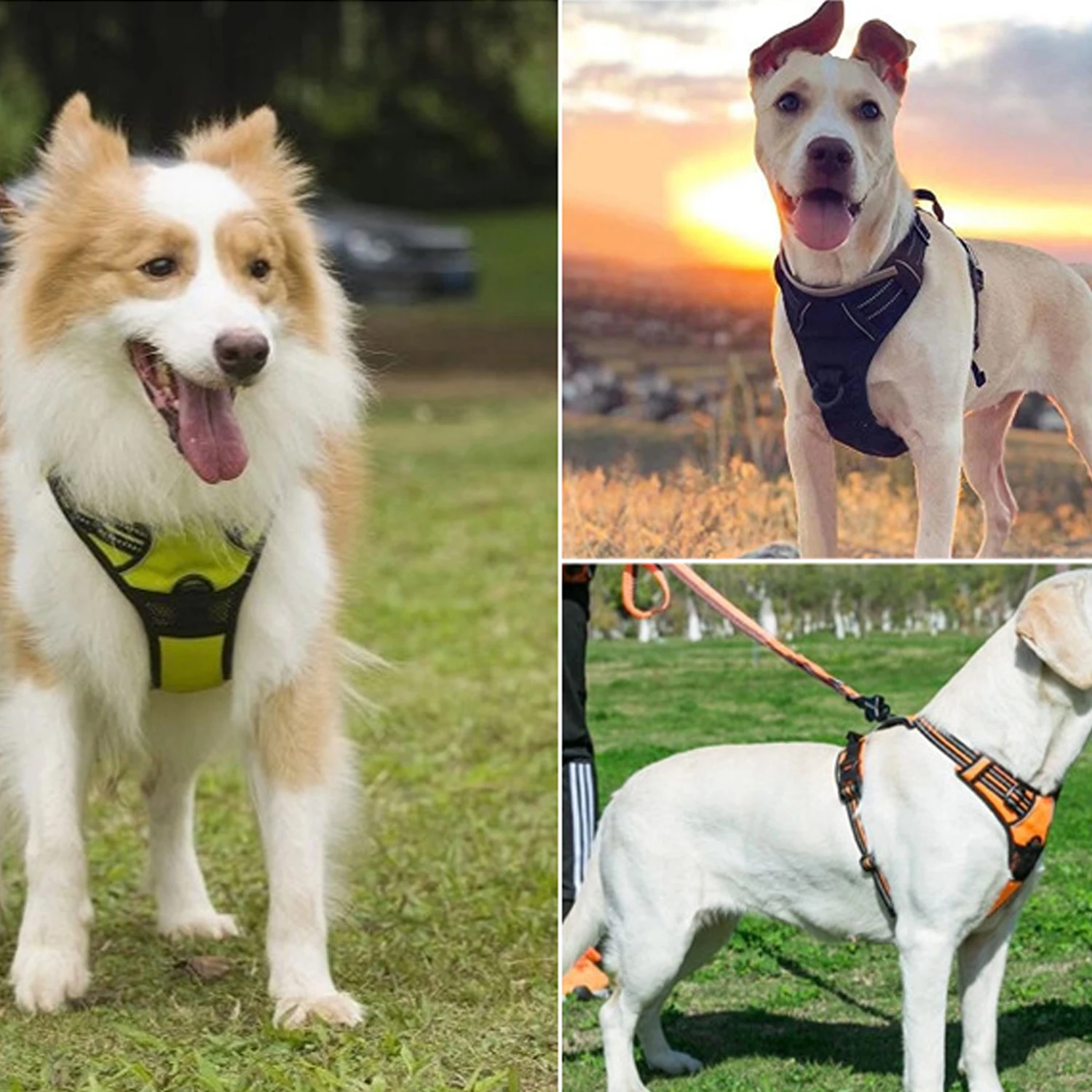 Coleira Peitoral para Cães Ajustável com Alças e Faixa Refletiva - Imagem 3