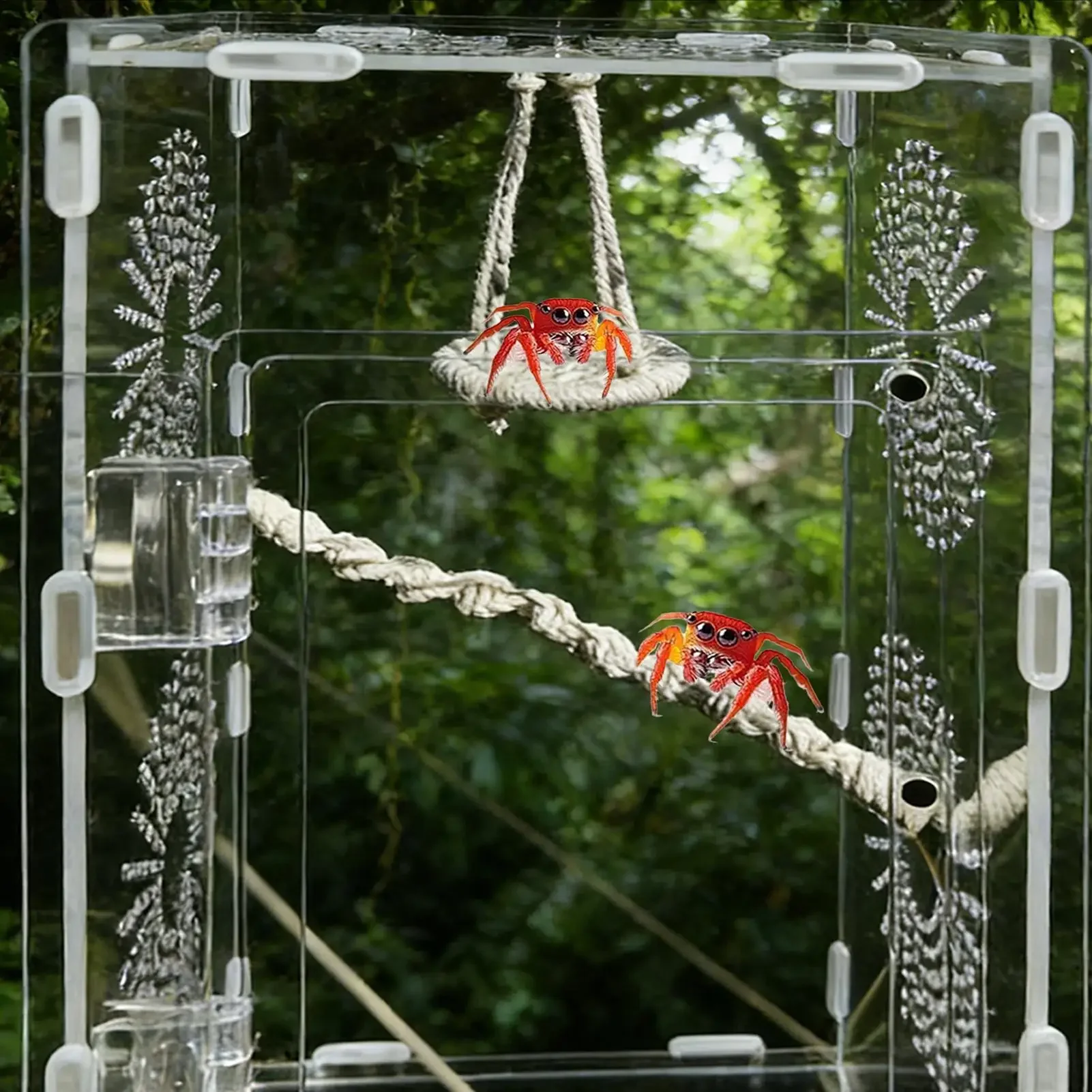 Ponte Suspensa para Aranhas Saltadoras e Geckos de Corda de Algodão - Imagem 2