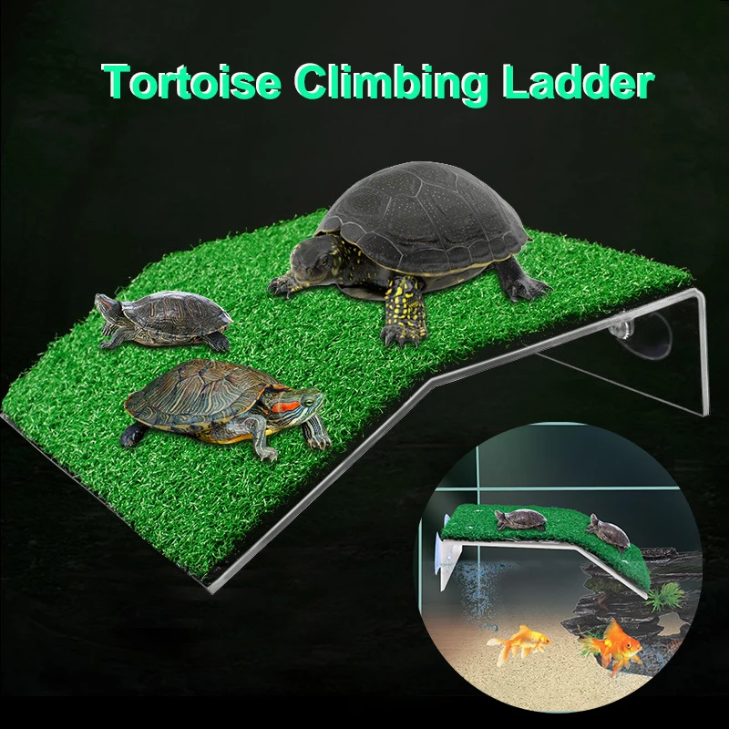 plataforma de basking para tartarugas