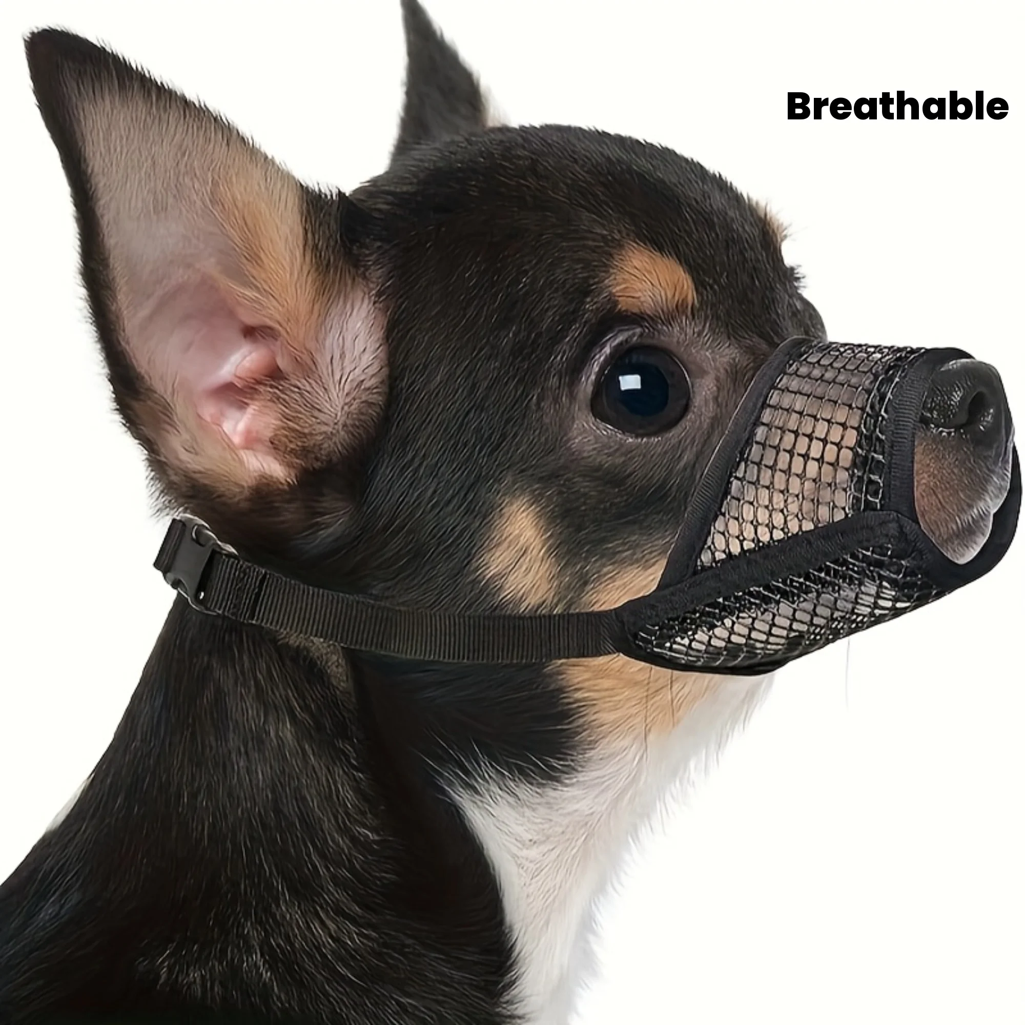 focinheira de malha para cães de focinho curto
