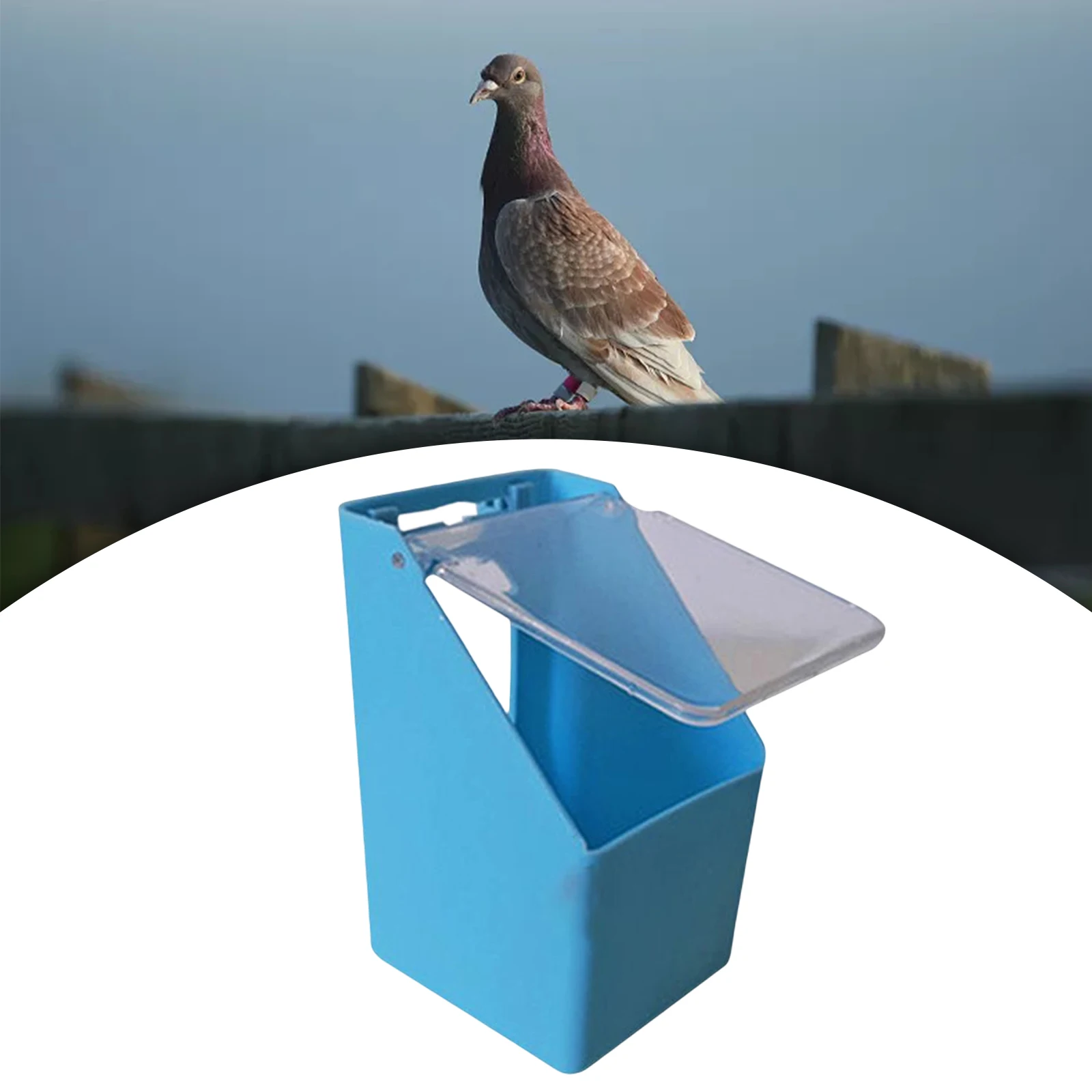 Alimentador para Pássaros com Tampa Transparente e Encaixe na Gaiola - Imagem 3