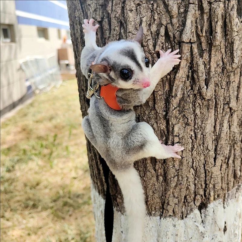 Coleira Peitoral para Hamster Pequeno Ajustável Anti-fuga - Imagem 5