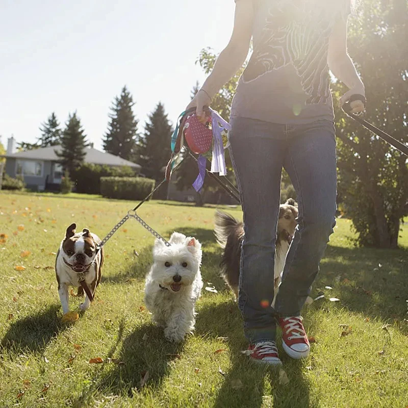 Acoplador de Guia para Cães de Aço Inoxidável Duplo - Imagem 2