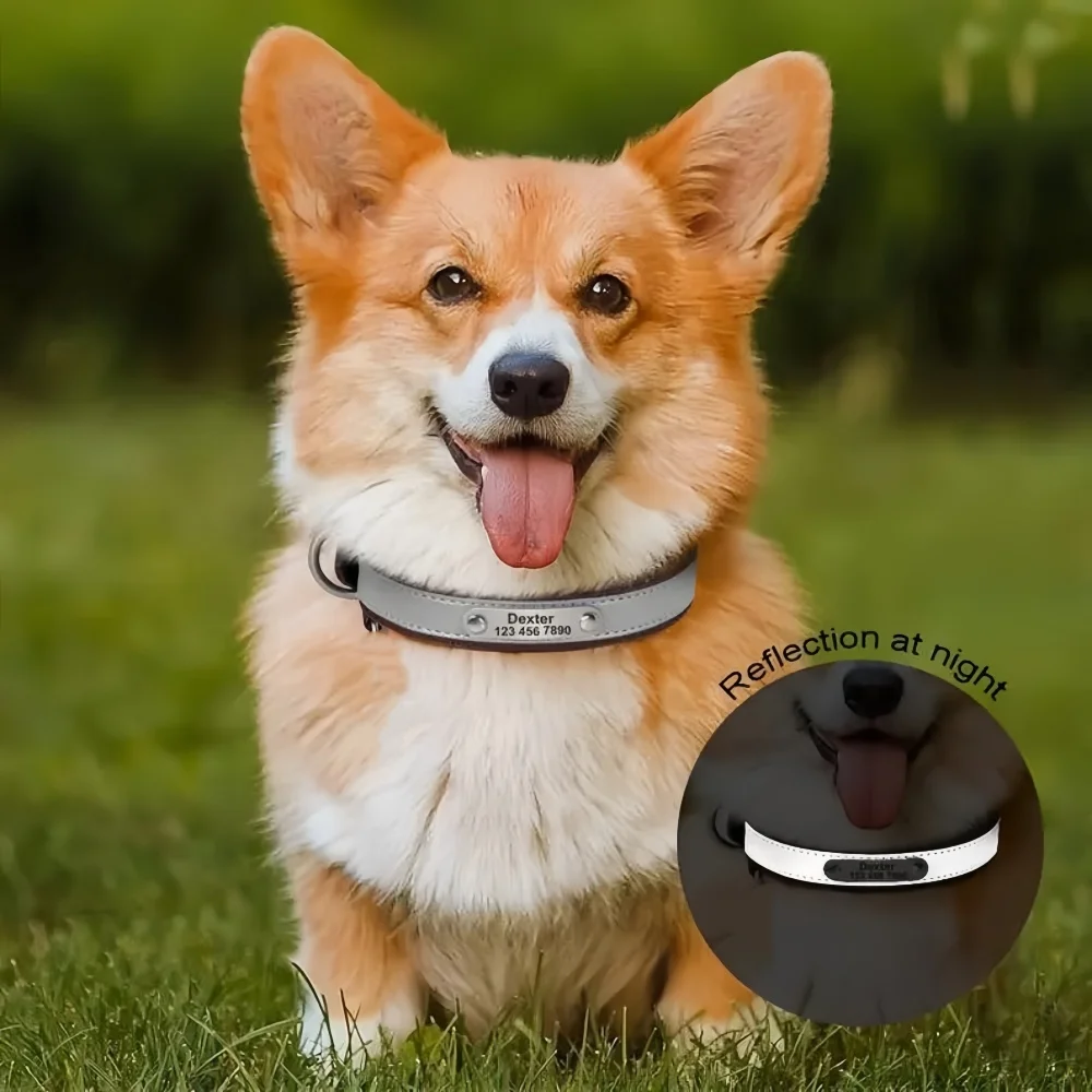 Coleira Refletiva para Cães Personalizada com Placa de Identificação - Imagem 3