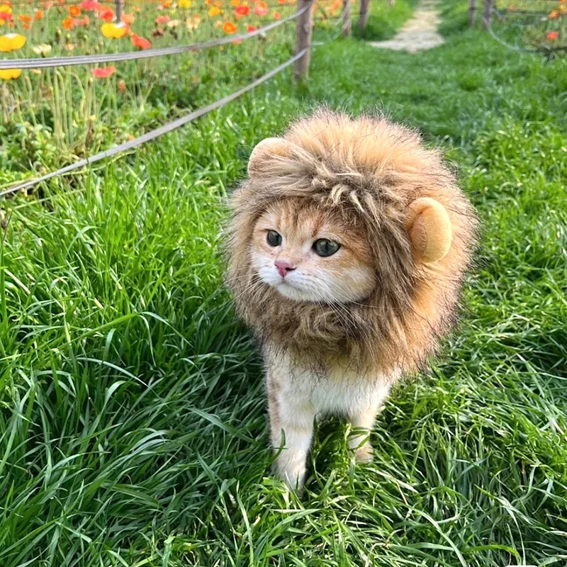 Chapéu de Leão para Gatos com Arnês Elástico - Imagem 4