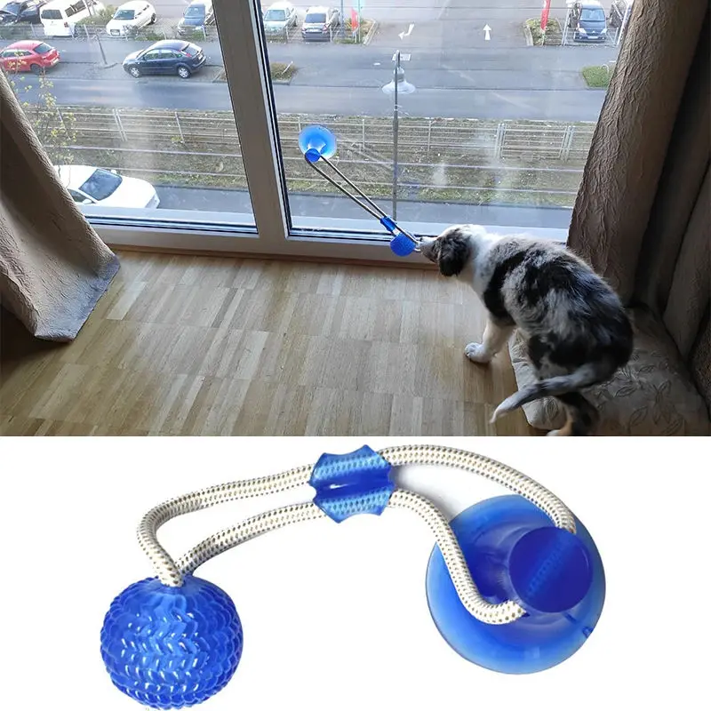 Brinquedo para Cães com Ventosa e Bola TPR para Morder - Imagem 2