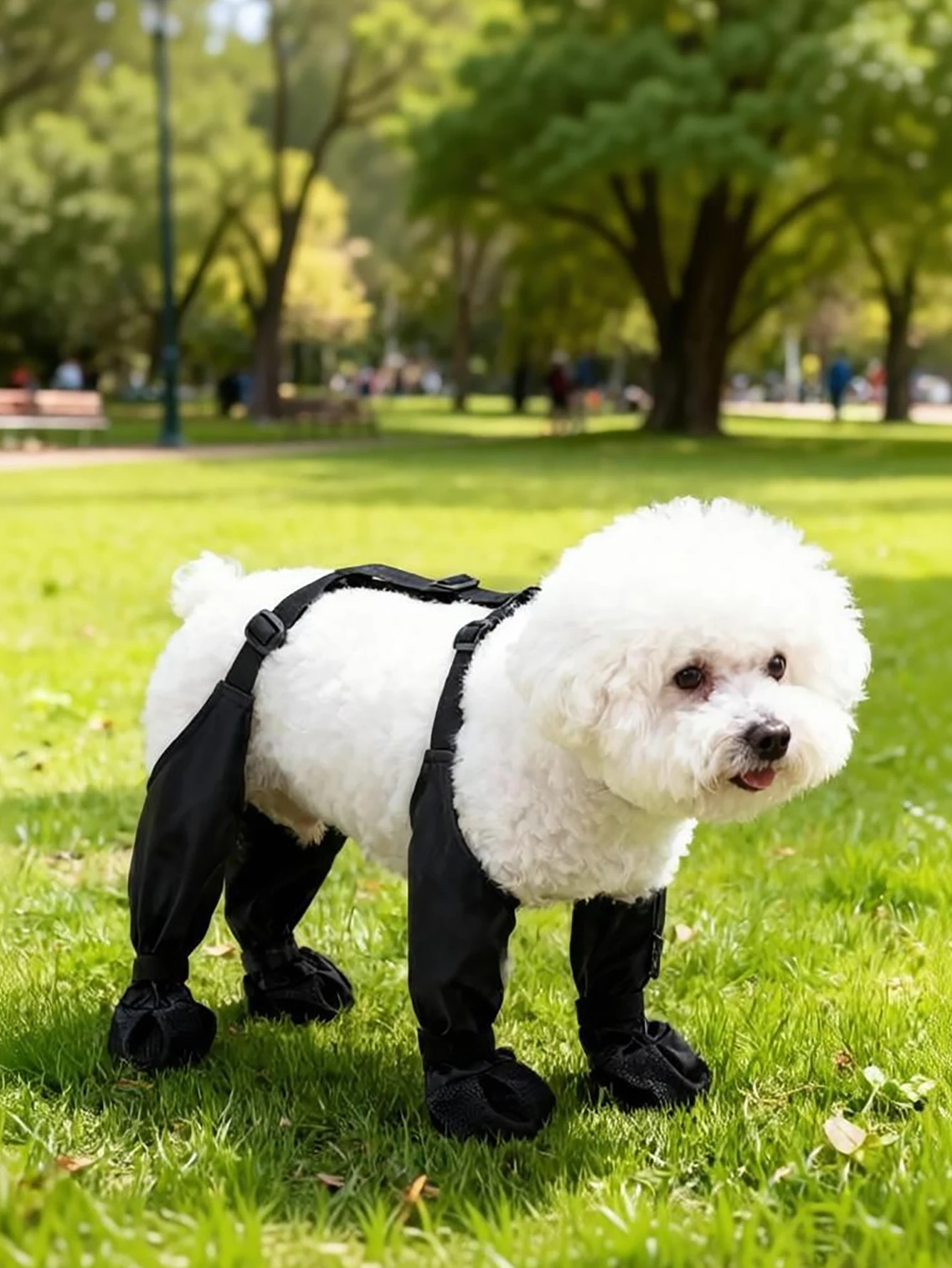 botas impermeáveis para cães com cadarço