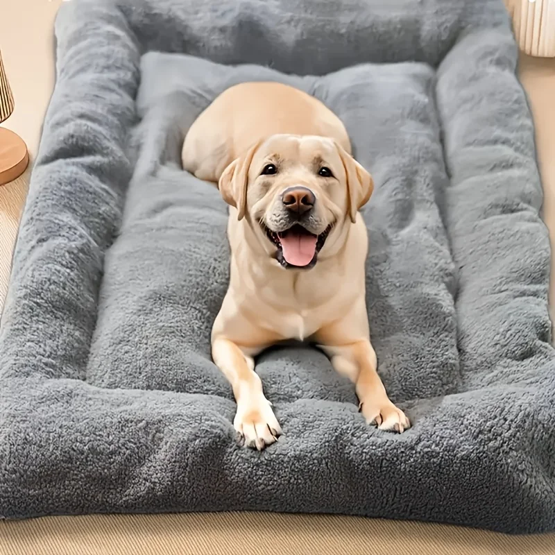 cama sofá para cães e gatos grande