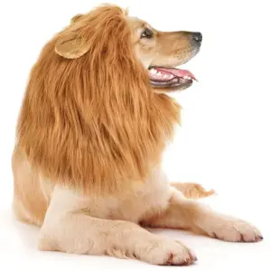 peruca de leão para cães