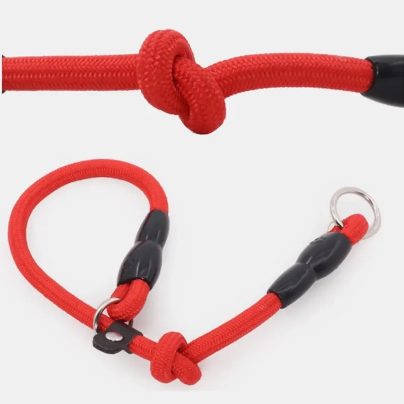Coleira de Nylon para Cães com Fivela Ajustável - Imagem 6