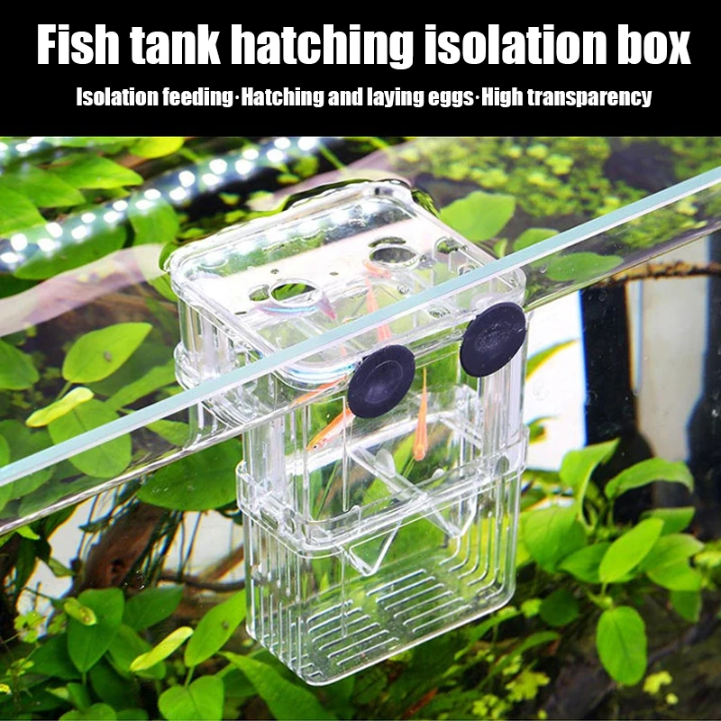 Caixa de Isolamento para Peixes de Aquário com Ventosas - Imagem 2