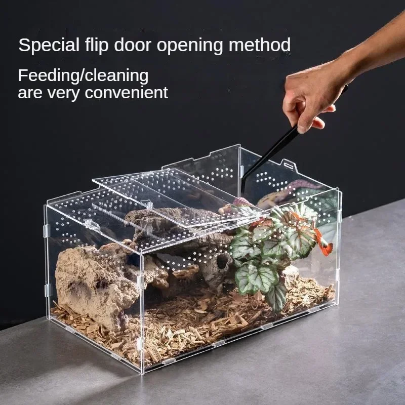 Caixa de Terrário para Répteis de Acrílico Transparente com Aberturas de Ventilação - Imagem 3