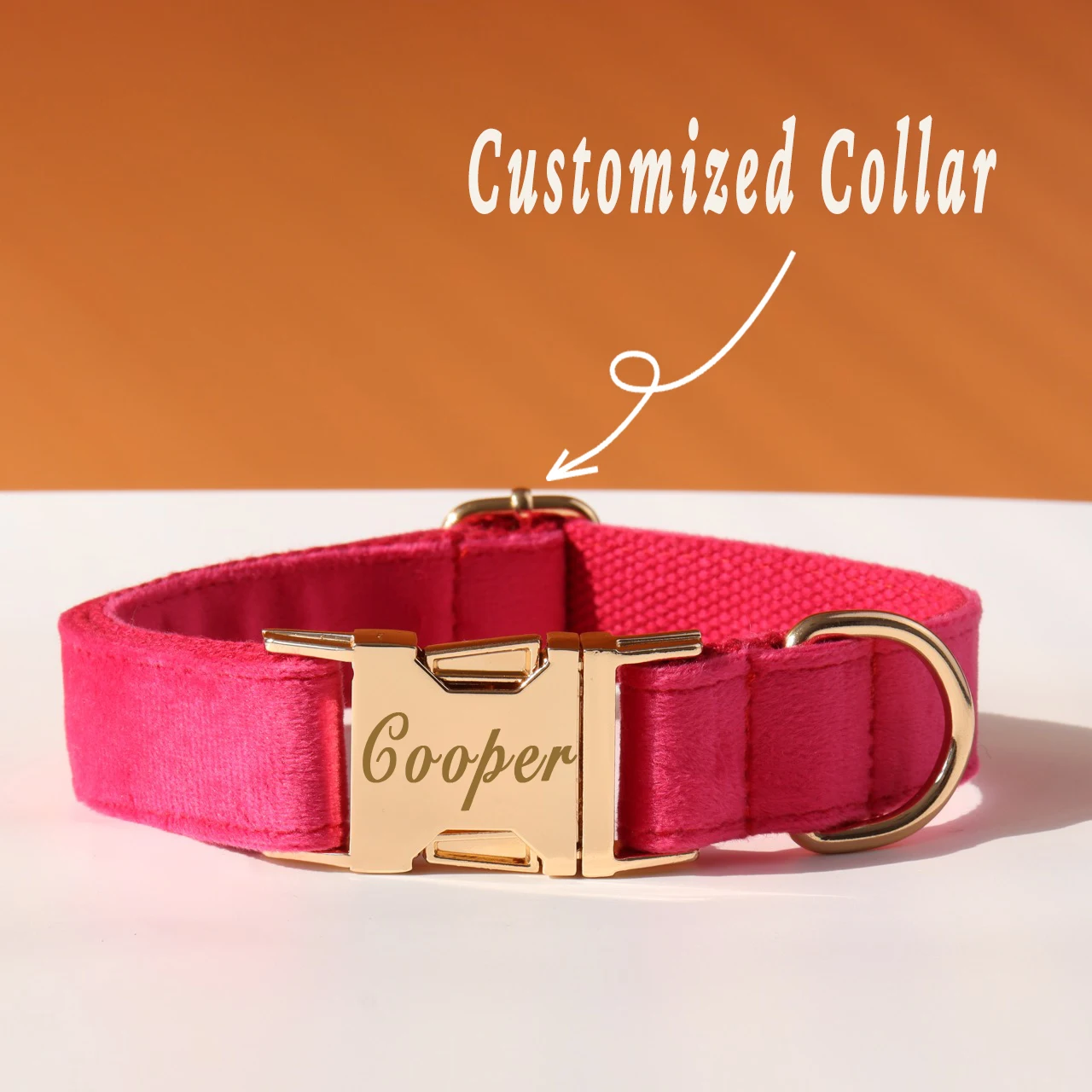 Coleira e Guia Personalizada para Cães com Nome e Telefone - Imagem 5