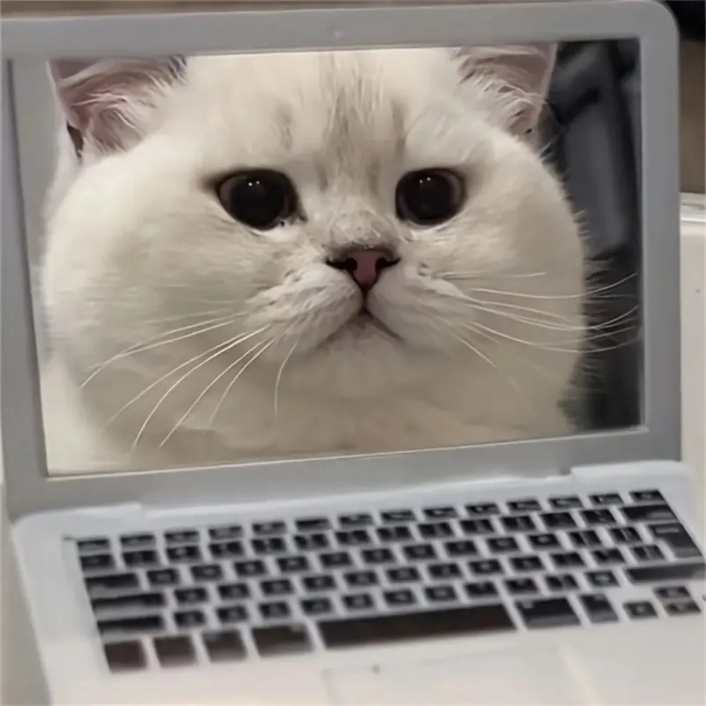 Brinquedo Interativo para Gato com Espelho e Tira - Imagem 5
