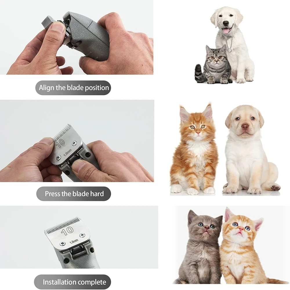 Lâmina de Tosa A5 para Cães e Gatos 3F 13 mm de Aço Carbono - Imagem 5