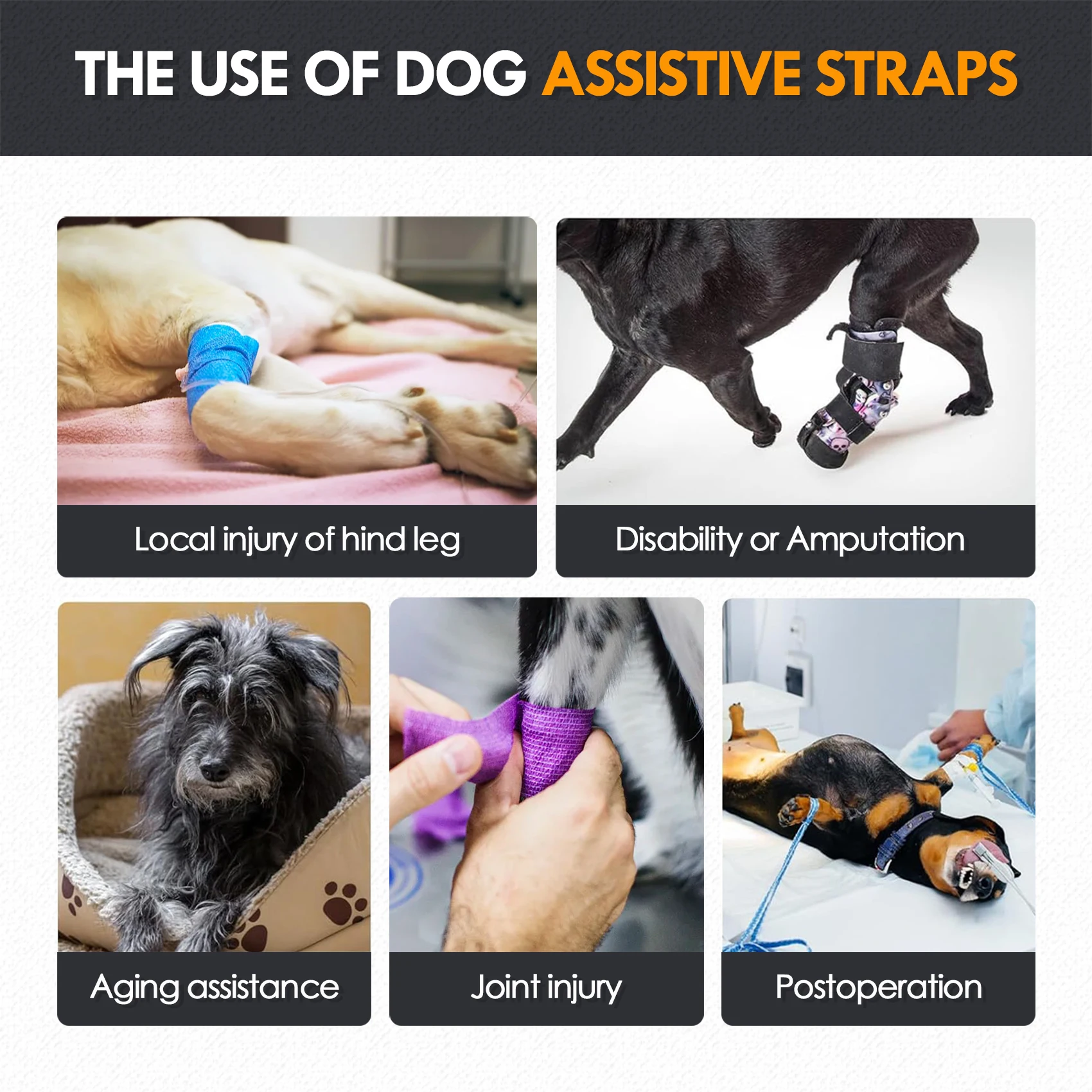 Estilingue para Cães Grandes Suporte para Patas Traseiras - Imagem 4