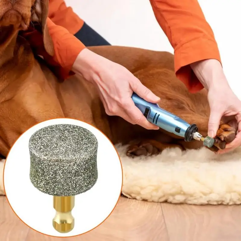 Pontas Diamantadas Reposição para Lixadeira de Unhas de Cães com 2 Unidades - Imagem 4