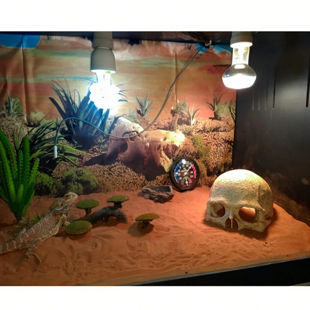 Decoração de Caveira Artificial para Terrários de Répteis Durável - Image 2